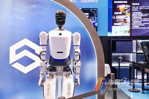 機器人生活秀 數(shù)量超60款，數(shù)貿會展現(xiàn)科技專業(yè)新圖景